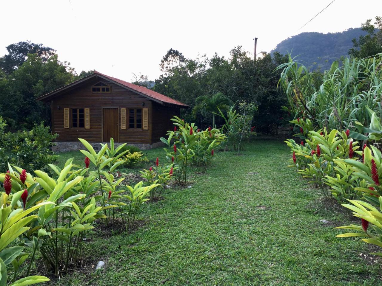 Hospedaje En El Lago 圣佩德罗苏拉 外观 照片