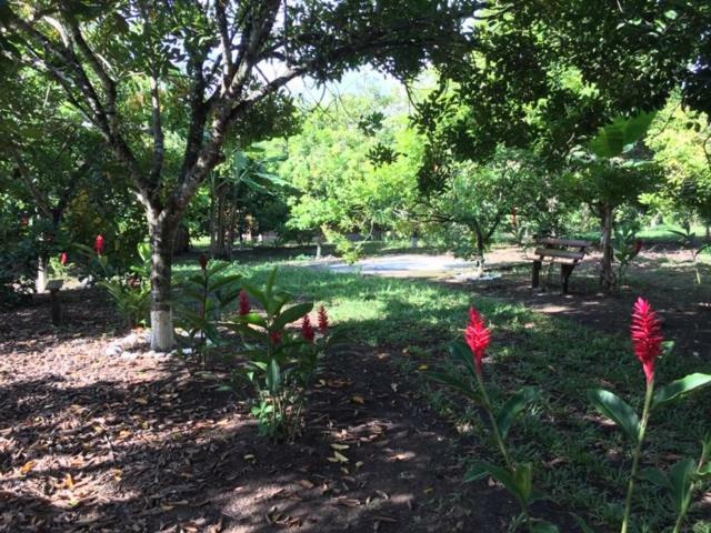 Hospedaje En El Lago 圣佩德罗苏拉 外观 照片